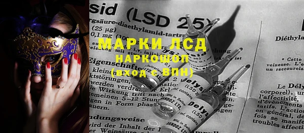 PSILOCYBIN Великий Новгород