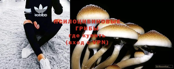 эйфоретик Лихославль