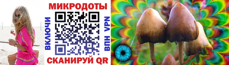 это состав  Лукоянов  Галлюциногенные грибы Psilocybine cubensis 